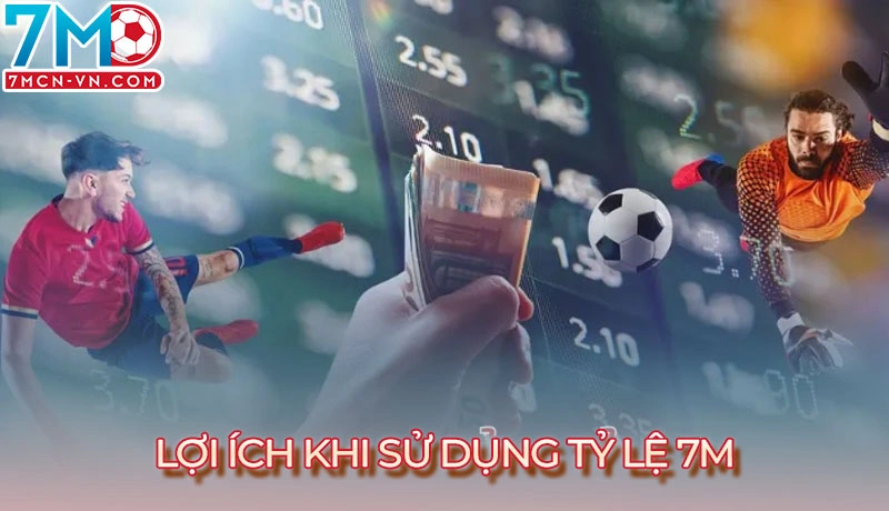 Lợi ích khi sử dụng tỷ lệ 7m